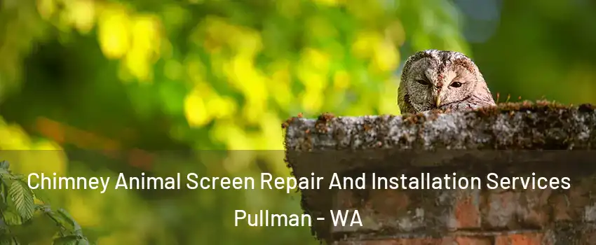  Chimney Animal Screen Repair And Installation Services Pullman - WA