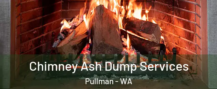  Chimney Ash Dump Services Pullman - WA