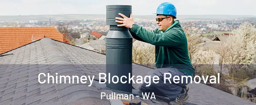  Chimney Blockage Removal Pullman - WA