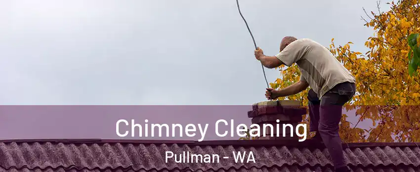  Chimney Cleaning Pullman - WA