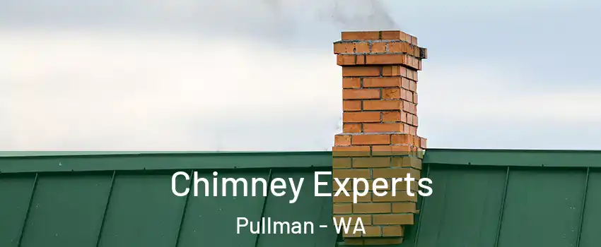 Chimney Experts Pullman - WA