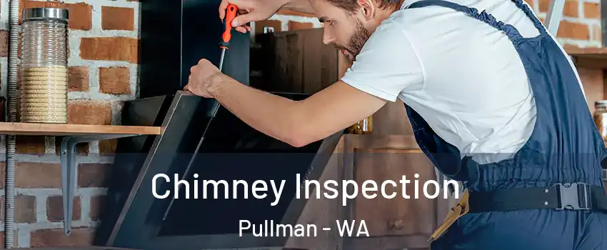  Chimney Inspection Pullman - WA
