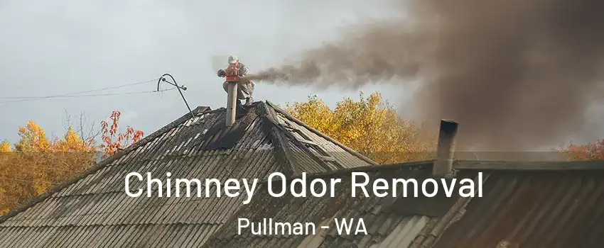  Chimney Odor Removal Pullman - WA