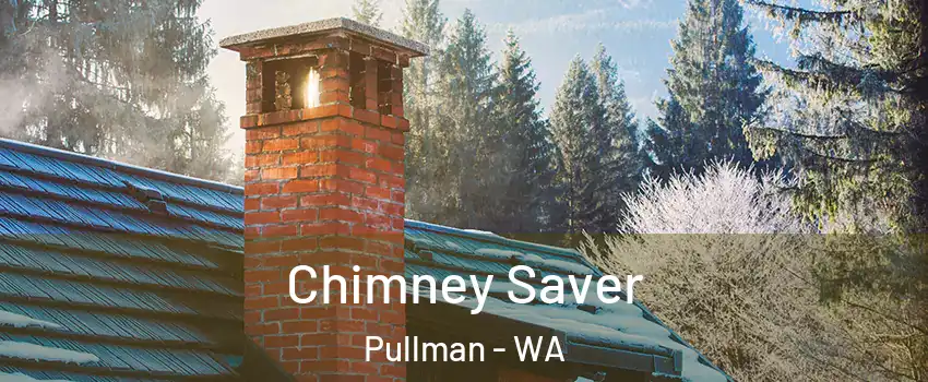  Chimney Saver Pullman - WA