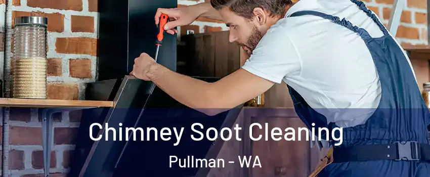  Chimney Soot Cleaning Pullman - WA