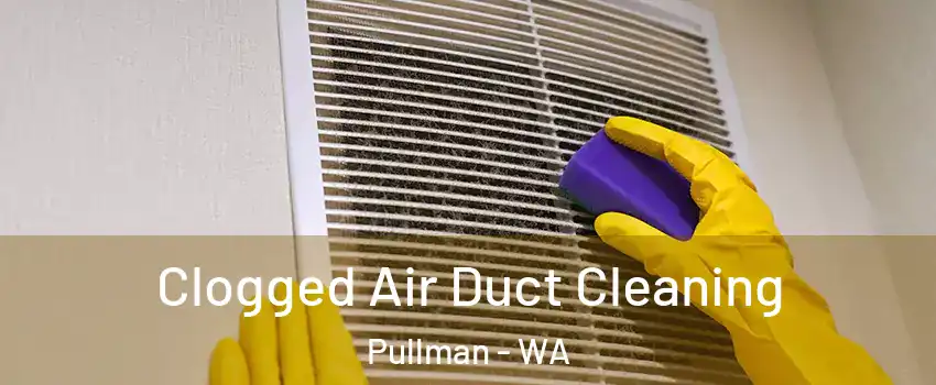 Clogged Air Duct Cleaning Pullman - WA