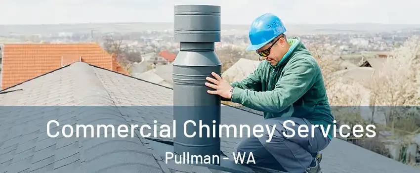  Commercial Chimney Services Pullman - WA