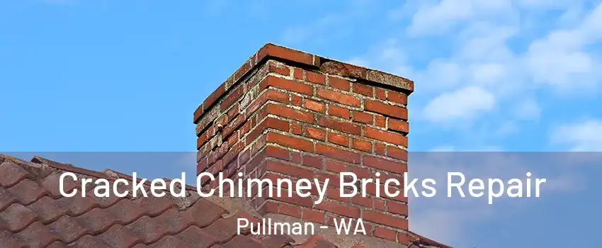  Cracked Chimney Bricks Repair Pullman - WA