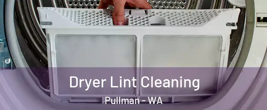  Dryer Lint Cleaning Pullman - WA