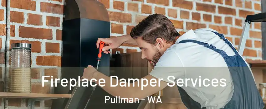  Fireplace Damper Services Pullman - WA