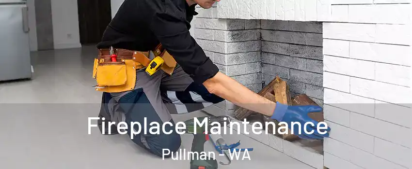  Fireplace Maintenance Pullman - WA
