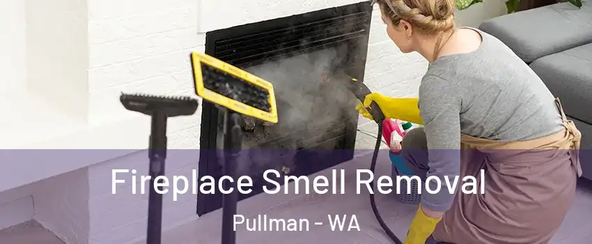  Fireplace Smell Removal Pullman - WA