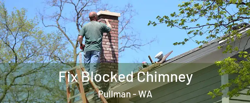  Fix Blocked Chimney Pullman - WA