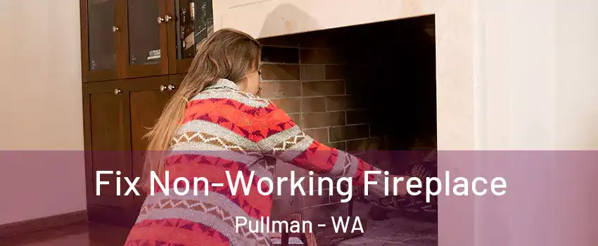  Fix Non-Working Fireplace Pullman - WA