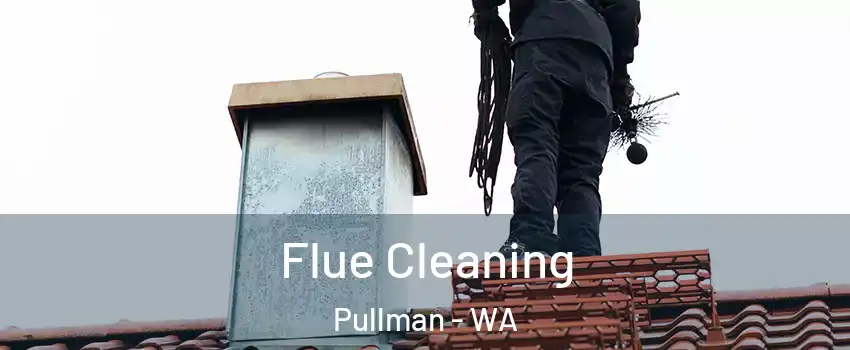  Flue Cleaning Pullman - WA