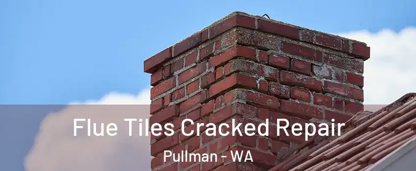  Flue Tiles Cracked Repair Pullman - WA