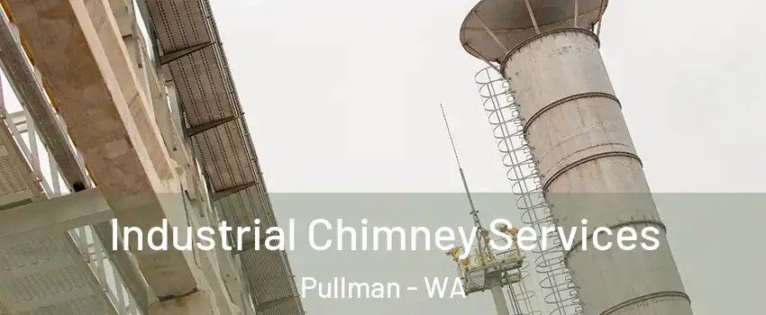  Industrial Chimney Services Pullman - WA