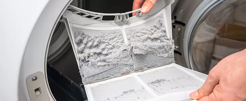 Best Dryer Lint Removal Company in Pullman, Washington