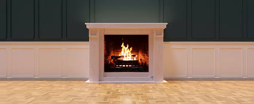 Napoleon Electric Fireplaces Inspection Service in Pullman, Washington