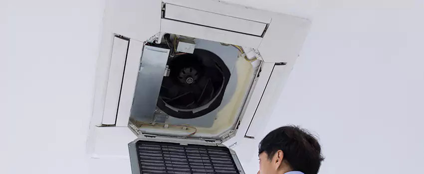 Benefits of Professional Air Duct Cleaning in Pullman, Washington
