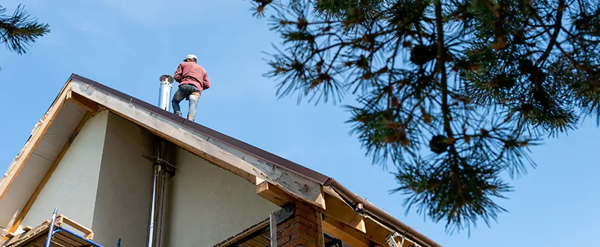 Birds Removal Contractors from Chimney in Pullman, WA