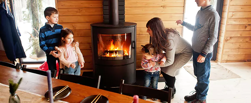 Jøtul Gas Fireplace Inspection Service in Pullman, Washington