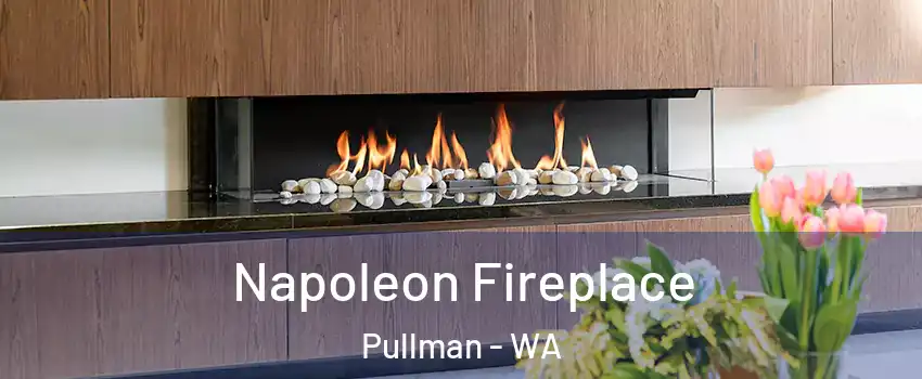  Napoleon Fireplace Pullman - WA