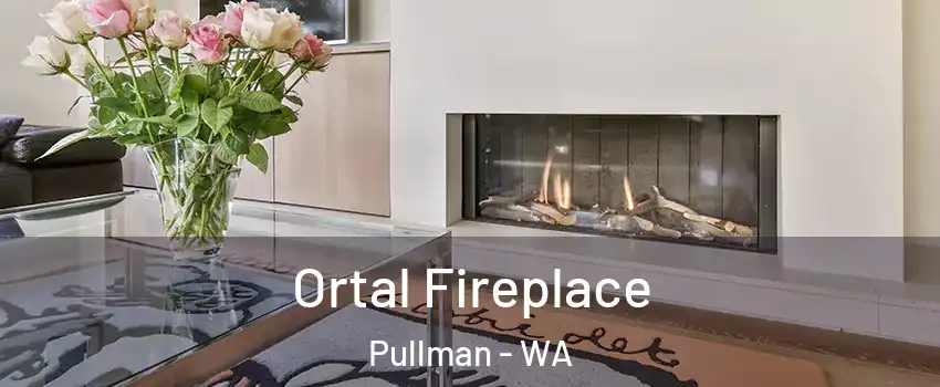 Ortal Fireplace Pullman - WA