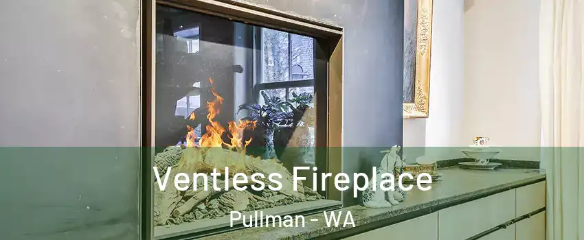  Ventless Fireplace Pullman - WA